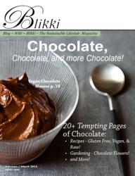 Blikki.com February/March Chocolate issue cover